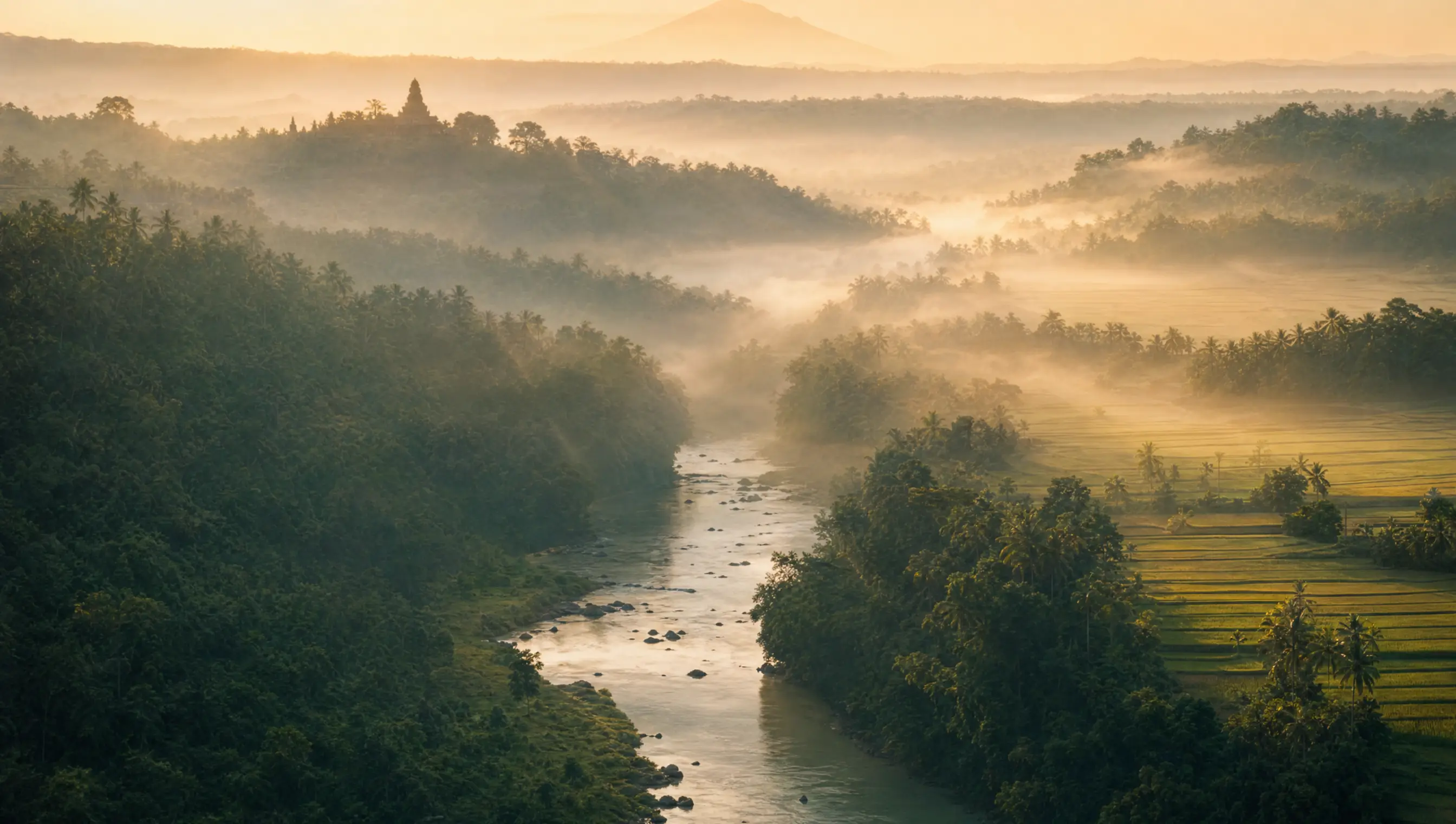 Fluss in einem nebligen Dschungeltal auf Bali bei Sonnenaufgang
